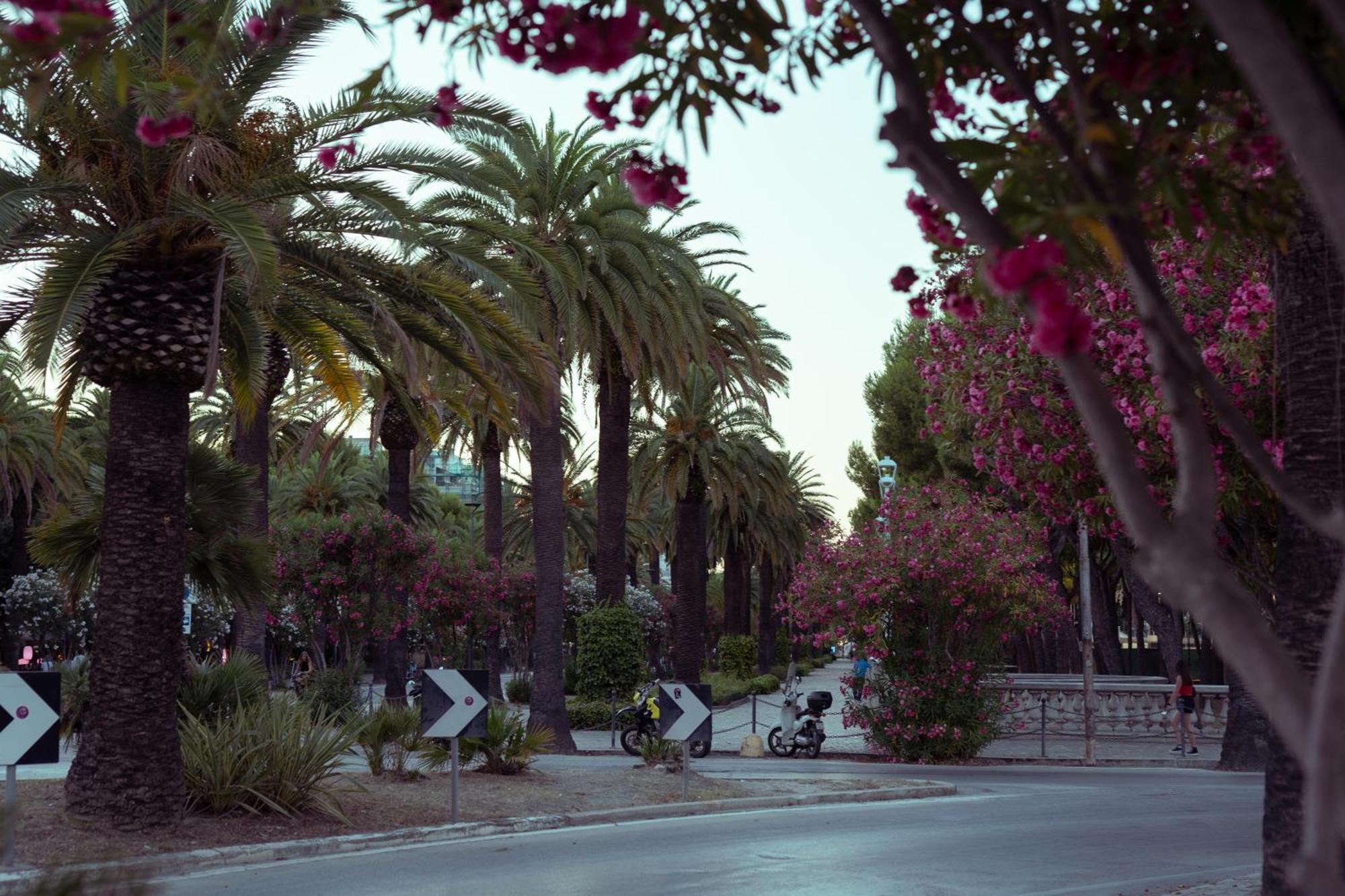 Appartamento Palazzo Galileo San Benedetto del Tronto Esterno foto